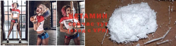 шишки Абаза