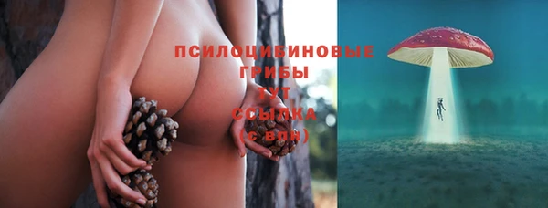 спиды Алзамай