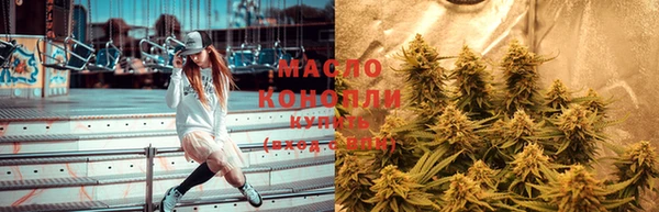шишки Абаза