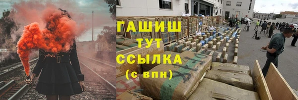 шишки Абаза