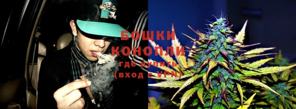 шишки Абаза
